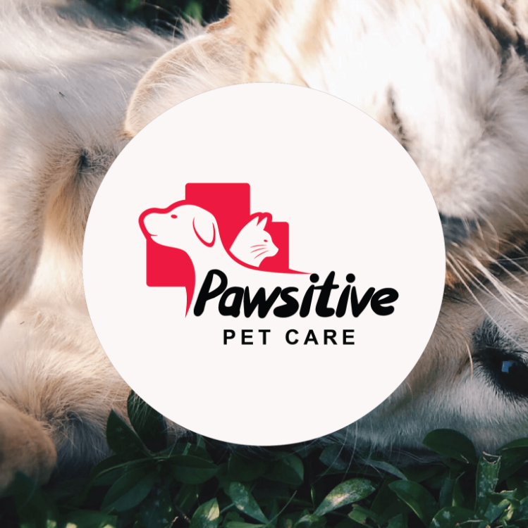 Pawsitive care sales